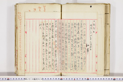 明い019000240004.jpg