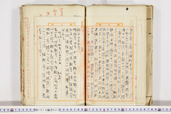 明い019000250003.jpg