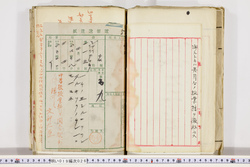 明い019000260003.jpg