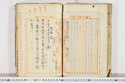 明い019000260006.jpg