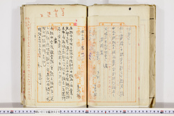 明い019000260007.jpg