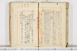 明い019000260008.jpg