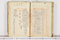 明い019000260009.jpg
