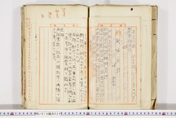 明い019000260010.jpg