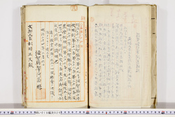 明い019000260012.jpg