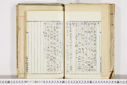 明い019000280004.jpg