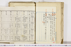 明い019000280011.jpg