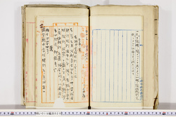 明い019000280019.jpg