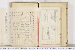 明い019000290013.jpg