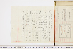 明い019000290014.jpg