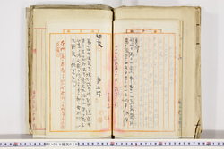 明い019000290017.jpg