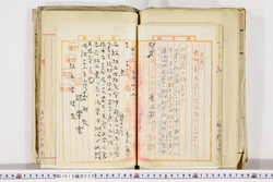 明い019000290018.jpg