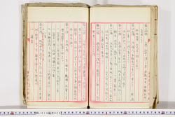 明い019000290024.jpg