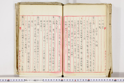 明い019000290025.jpg