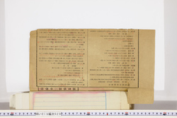 明い019000290031.jpg