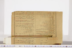 明い019000290036.jpg