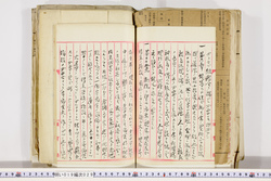 明い019000290043.jpg