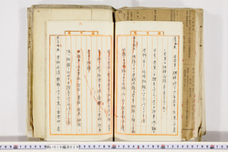 明い019000290050.jpg
