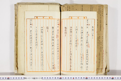 明い019000290051.jpg