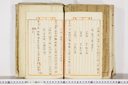 明い019000290052.jpg
