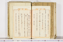 明い019000290053.jpg