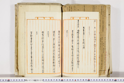明い019000290054.jpg