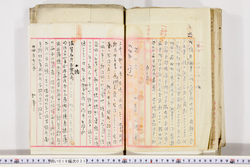 明い019000310002.jpg