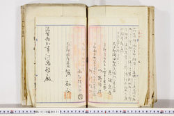 明い019000310004.jpg