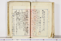 明い019000310006.jpg