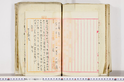 明い019000310009.jpg