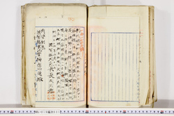 明い019000310015.jpg