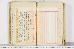 明い019000320003.jpg