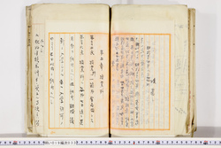 明い019000330005.jpg
