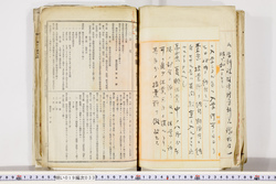 明い019000330012.jpg