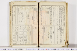 明い019000330013.jpg