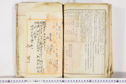 明い019000330015.jpg