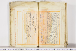明い019000340005.jpg