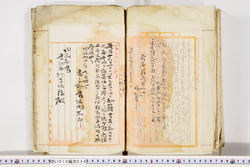 明い019000340006.jpg