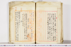 明い019000350004.jpg