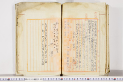 明い019000360002.jpg
