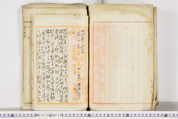 明い019000360004.jpg