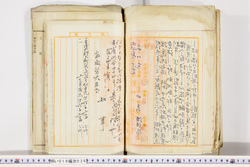 明い019000360005.jpg
