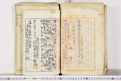 明い019000360006.jpg
