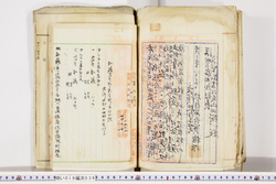 明い019000360007.jpg