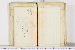 明い019000360009.jpg