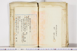 明い019000360010.jpg