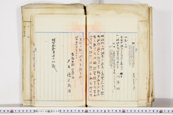 明い019000360012.jpg