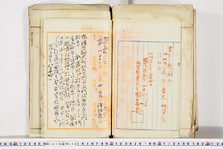 明い019000360013.jpg