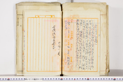 明い019000360014.jpg