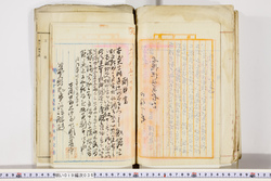 明い019000360015.jpg